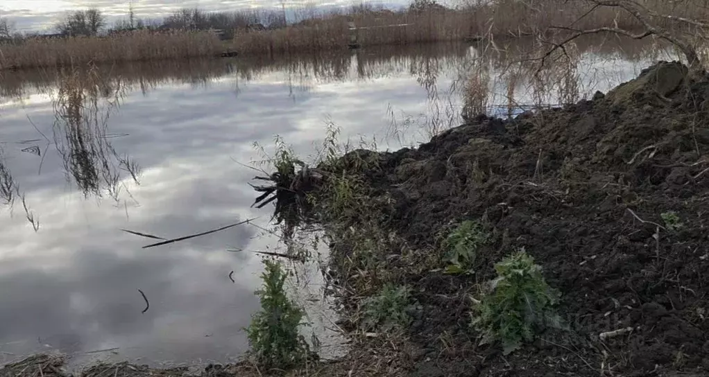 Участок в Краснодарский край, Усть-Лабинский район, Александровское ... - Фото 2