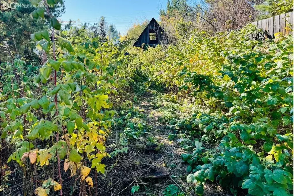 Участок в Белоярский городской округ, посёлок Растущий, Садовая улица, ... - Фото 1