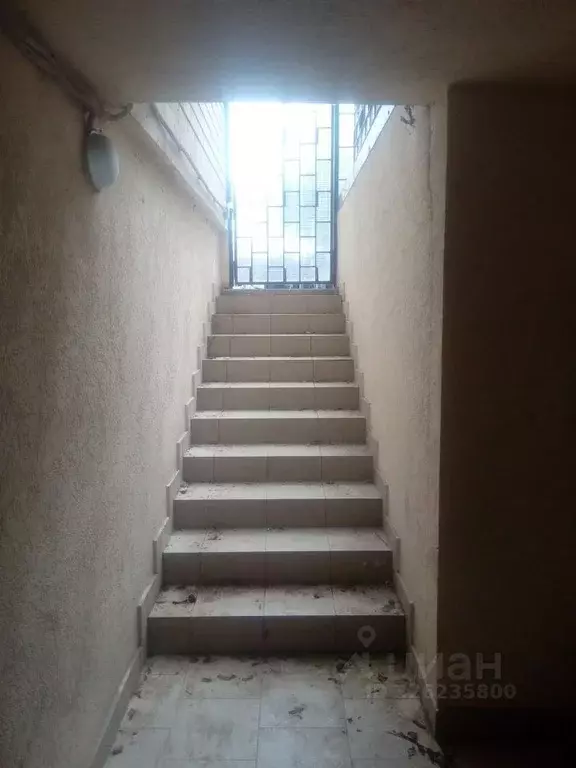 Помещение свободного назначения в Краснодарский край, Анапа ул. ... - Фото 2