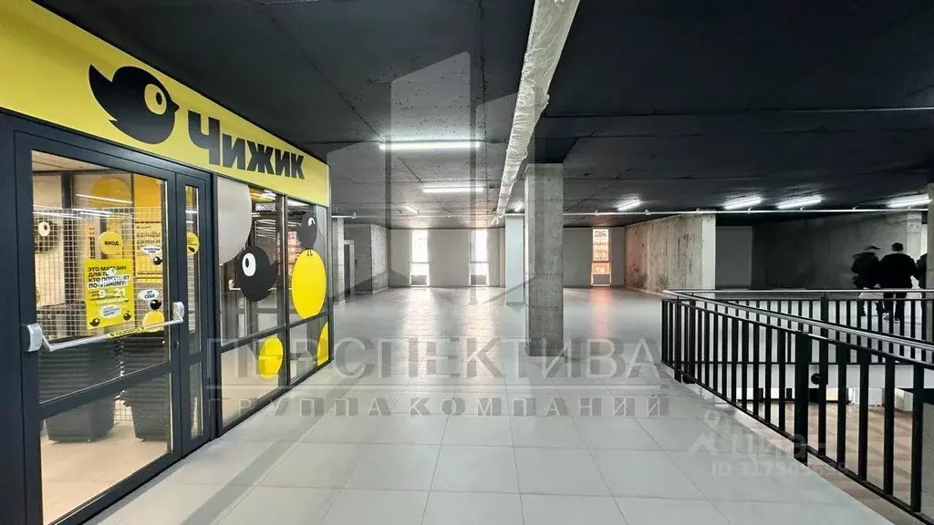 Помещение свободного назначения в Краснодарский край, Новороссийск ... - Фото 0