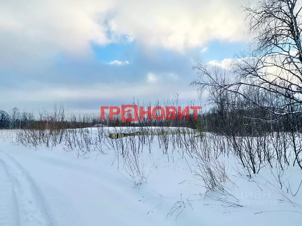 Участок в Новосибирская область, Новосибирский район, Плотниковский ... - Фото 2