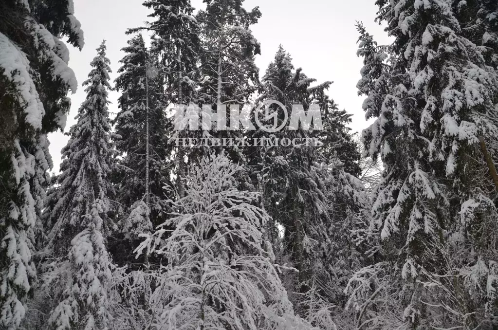 Участок в Московская область, Дмитровский муниципальный округ, д. ... - Фото 1