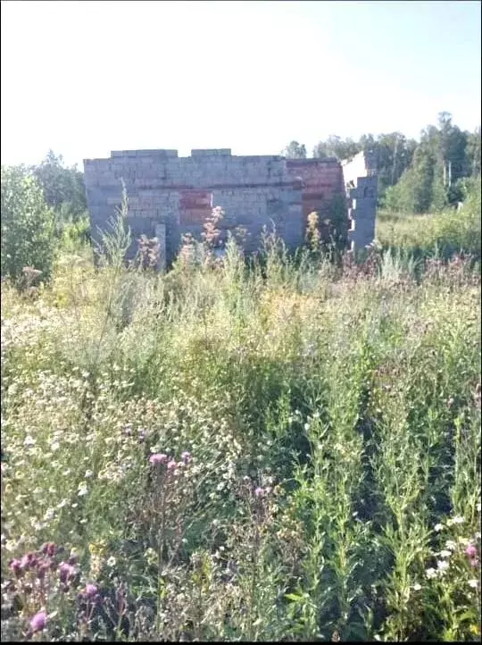 Участок 9 сот. (СНТ, ДНП) - Фото 0