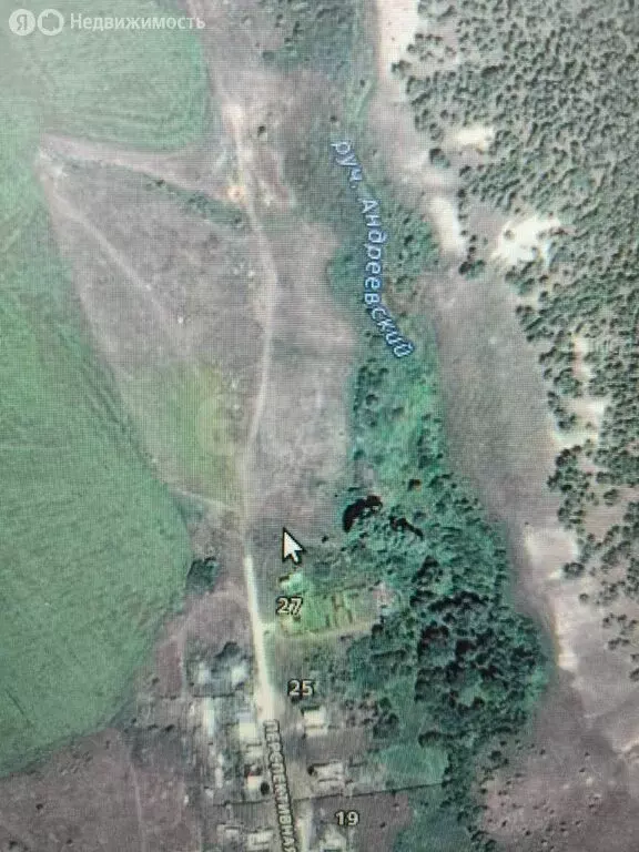 Участок в Елшанское муниципальное образование, деревня Андреевка, ... - Фото 1