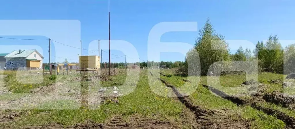 Участок в Костромская область, Кострома Соколиное Гнездо кп,  (8.1 ... - Фото 0