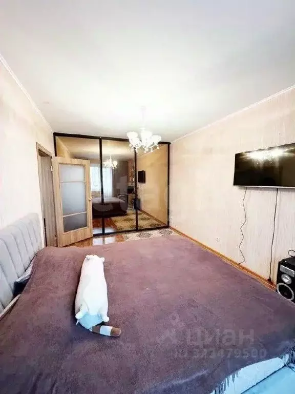 1-к кв. Курская область, Курск просп. Вячеслава Клыкова, 56 (38.5 м) - Фото 2