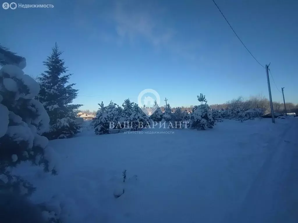 2-комнатная квартира: деревня Дюдьково, 9 (53 м) - Фото 2