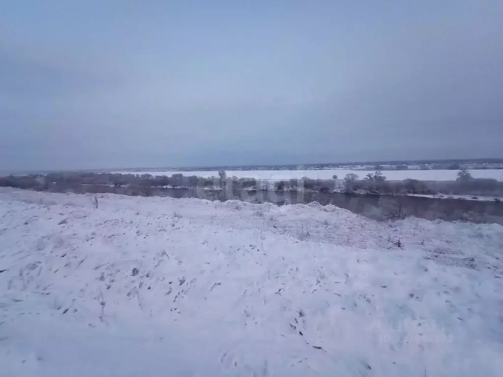 Участок в Воронежская область, Рамонский район, Новоживотинновское ... - Фото 2