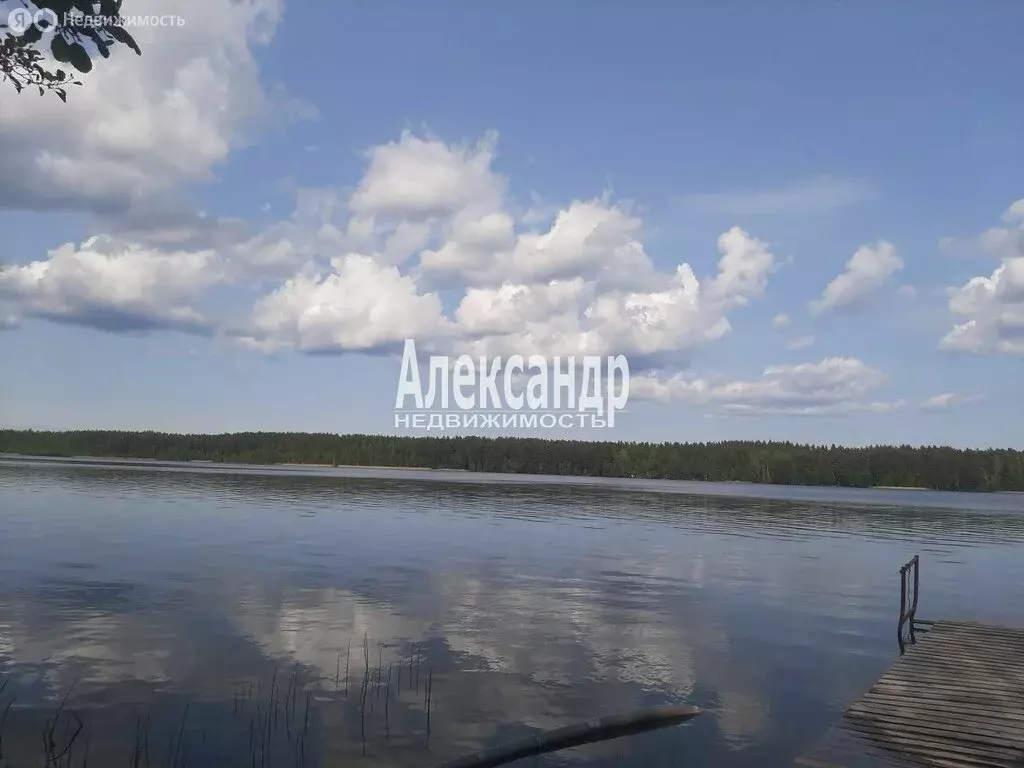 Участок в Громовское сельское поселение, посёлок Приладожское (12 м) - Фото 2