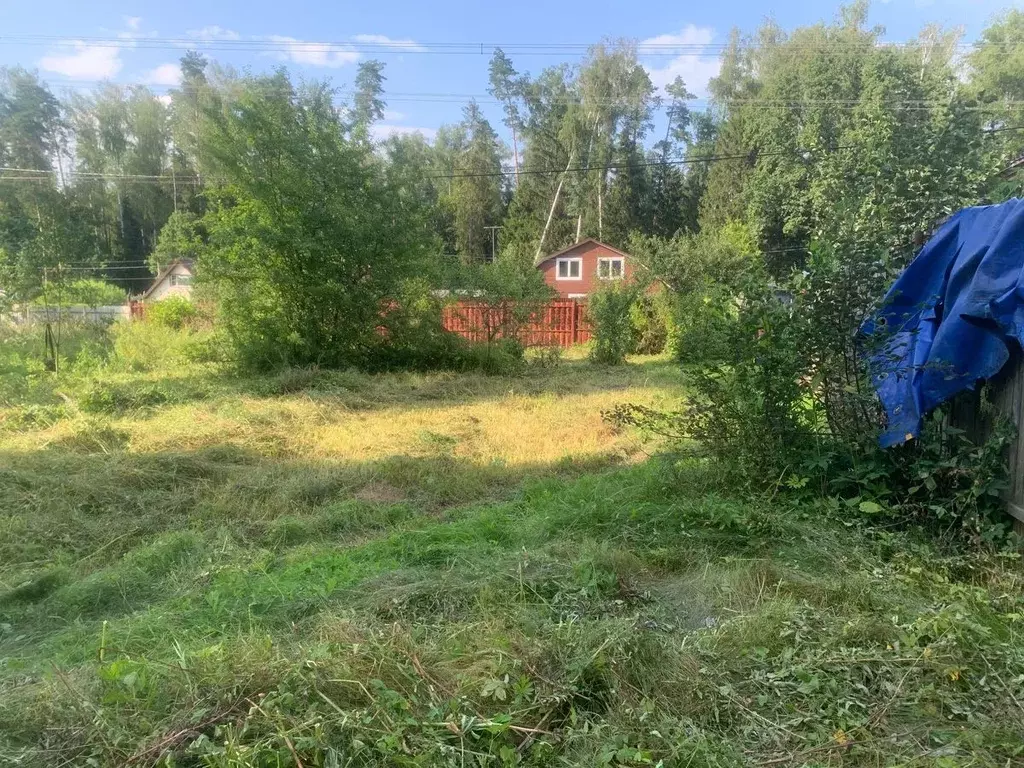 Участок в Московская область, Щелково городской округ, Лужки СНТ  (7.5 ... - Фото 2