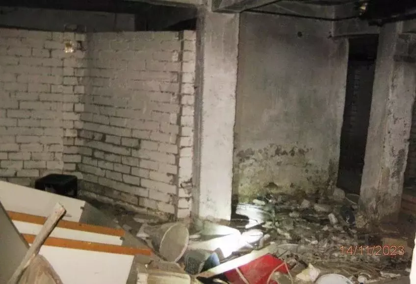 Помещение свободного назначения в Нижегородская область, Нижний ... - Фото 2