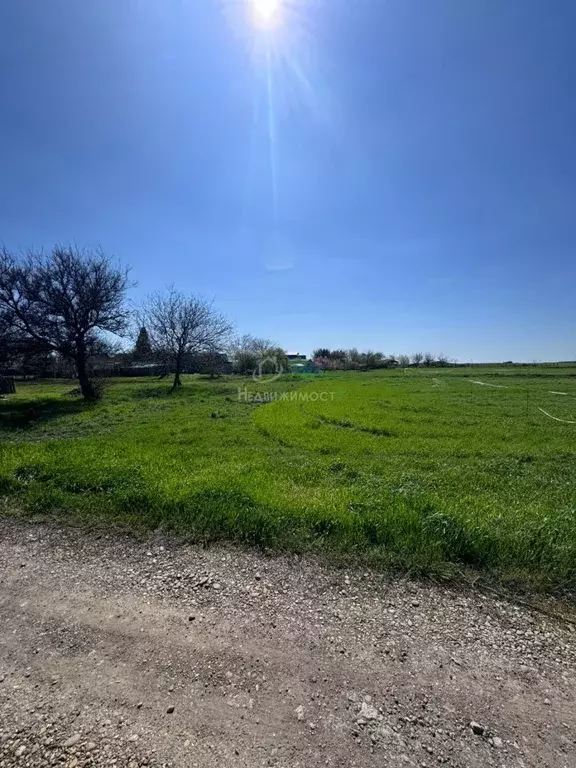 Участок в Краснодарский край, Ейский район, с. Кухаривка ул. Советов ... - Фото 0