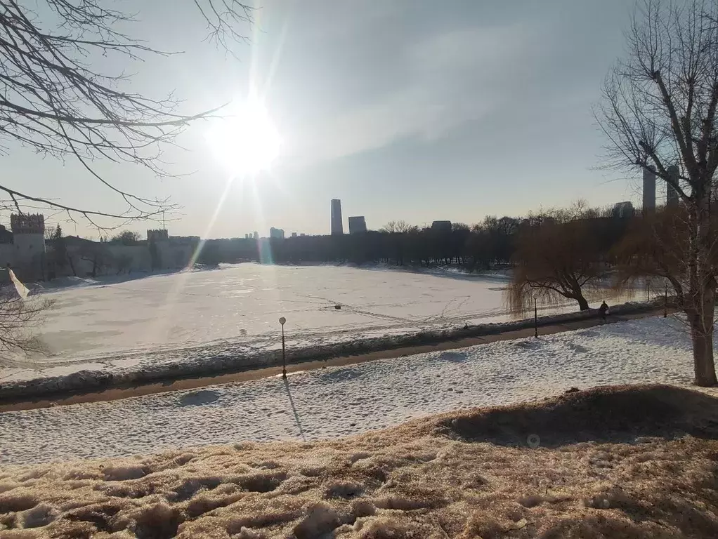 1-к кв. Москва Новодевичий проезд, 8 (31.8 м) - Фото 2