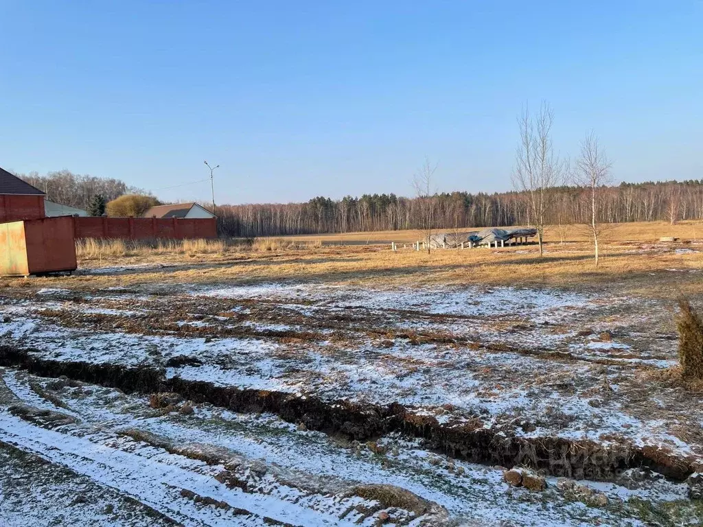 Участок в Московская область, Домодедово городской округ, д. Михеево  ... - Фото 1