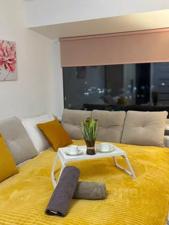 Студия Москва Профсоюзная ул., 69 (20.0 м) - Фото 1