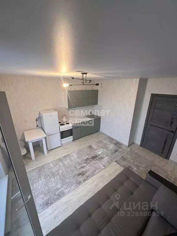 1-к кв. Челябинская область, Челябинск ул. Маршала Чуйкова, 30 (24.2 ... - Фото 2