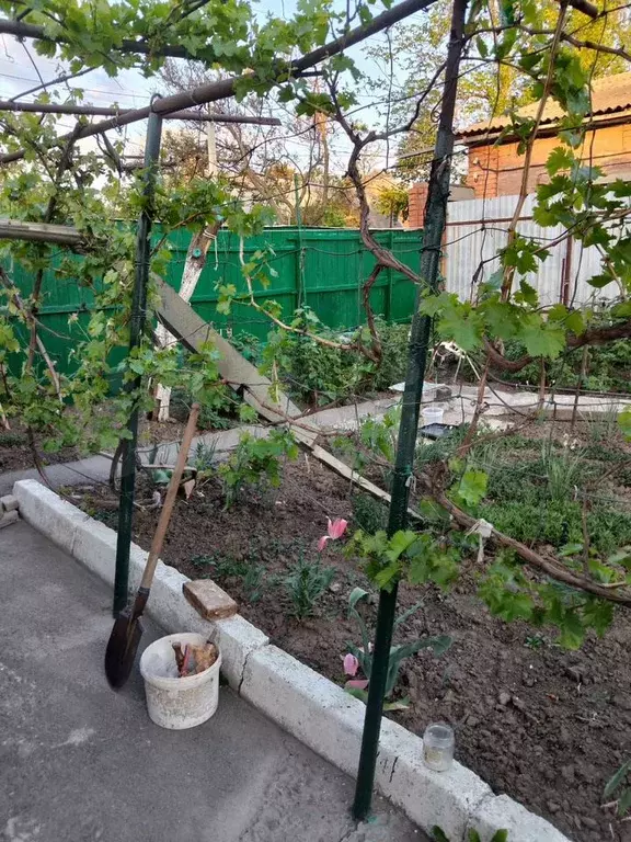 Дом 48 м на участке 6 сот. - Фото 0
