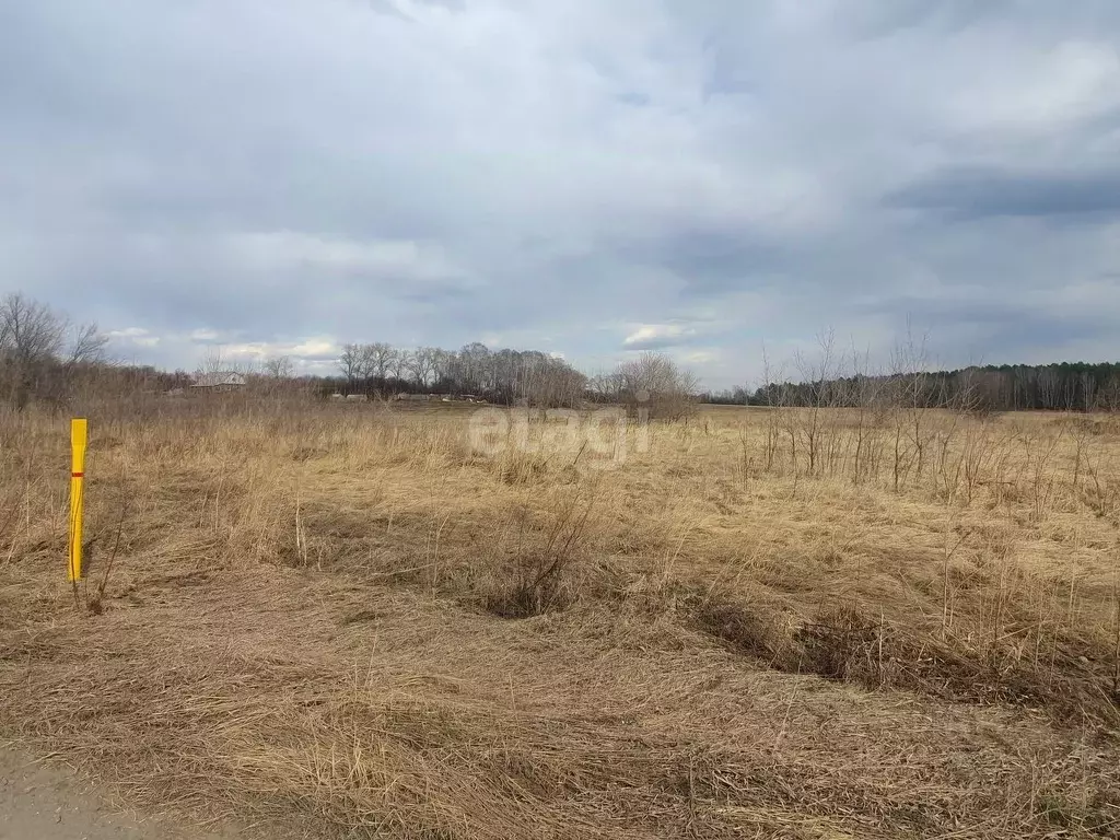 Участок в Курганская область, Щучанский муниципальный округ, д. ... - Фото 1