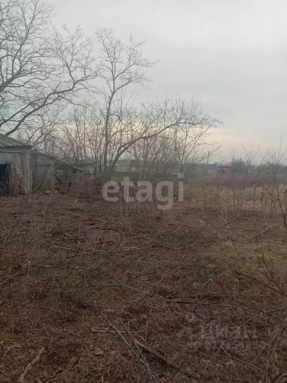 Участок в Краснодарский край, Щербиновский район, Екатериновское ... - Фото 1