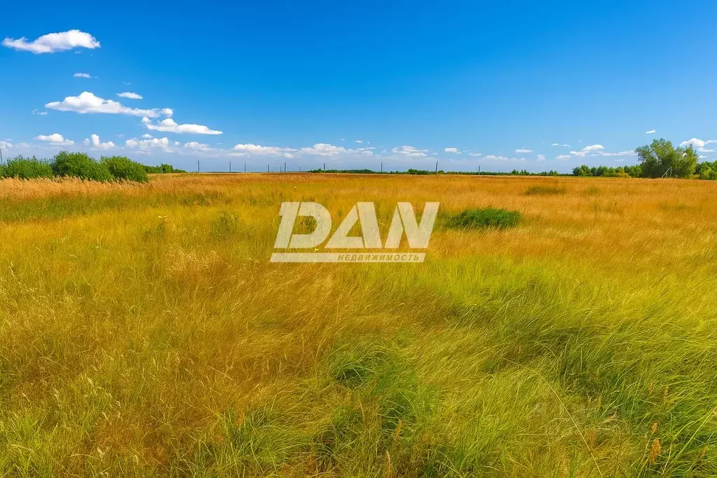 Участок в Челябинская область, Красноармейский муниципальный округ, с. ... - Фото 1