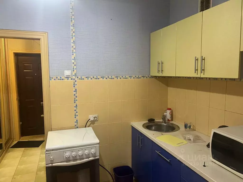 Студия Новосибирская область, Новосибирск Нижегородская ул., 24/1 ... - Фото 1