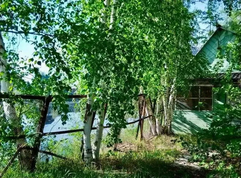 Дом в Саха (Якутия), Жатай городской округ, Жатай рп ул. Береговая (40 ... - Фото 0