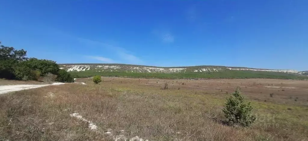 Участок в Севастополь ул. Ленина (266.0 сот.) - Фото 1