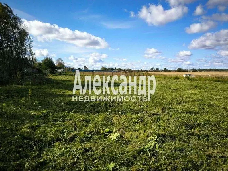 Участок в Ленинградская область, Волосовский район, Бегуницкое с/пос, ... - Фото 1