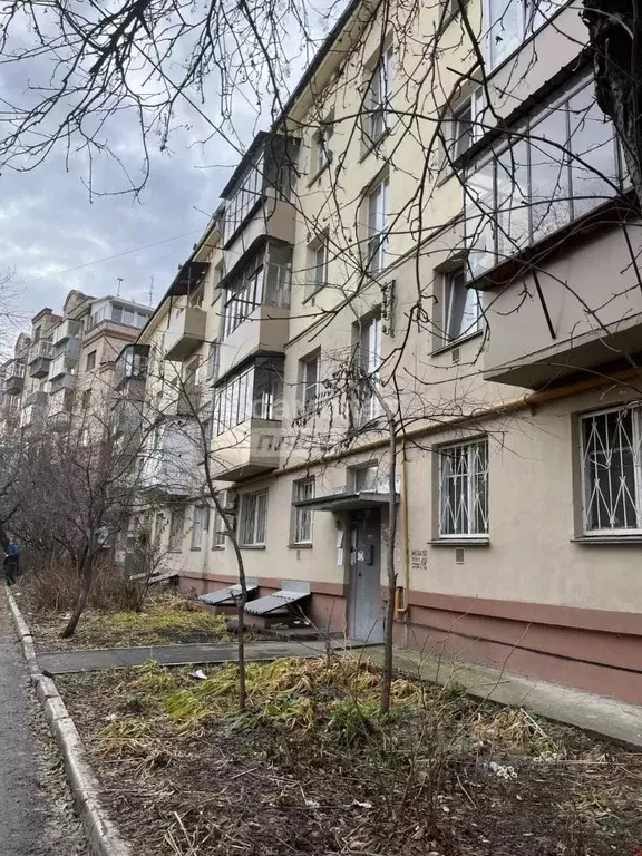 2-к кв. Челябинская область, Челябинск ул. Блюхера, 63 (42.9 м) - Фото 2