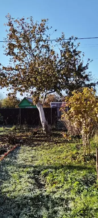 Участок в Ленинградская область, Гатчинский муниципальный округ, ... - Фото 1