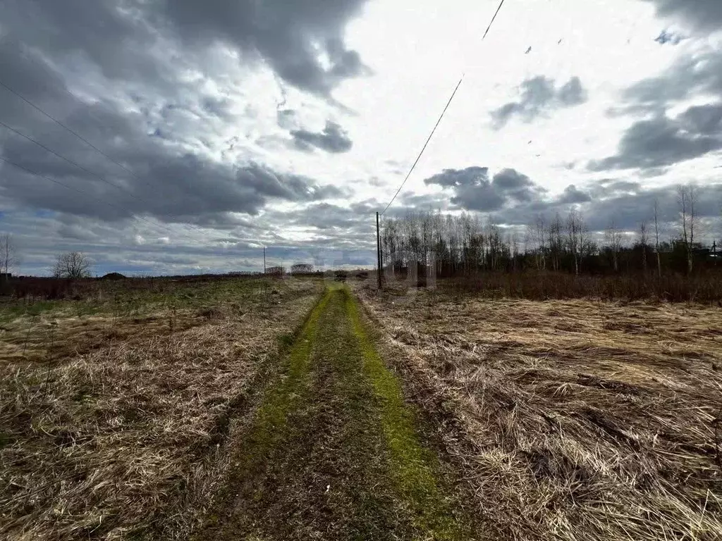 Участок в Вологодская область, д. Михальцево  (17.0 сот.) - Фото 2