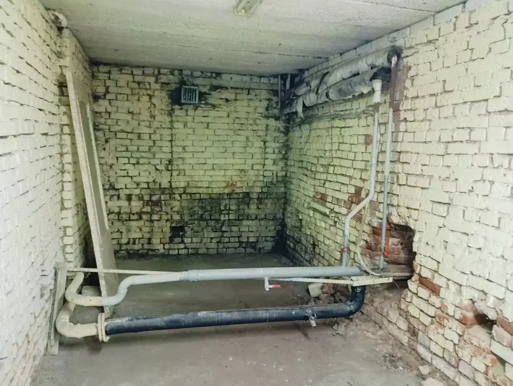 Помещение свободного назначения в Удмуртия, Ижевск ул. Ленина, 17 (203 ... - Фото 2