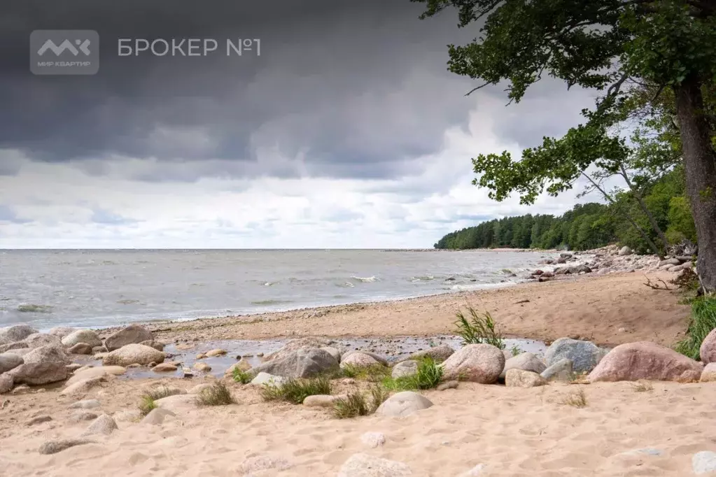 Участок в Ленинградская область, Выборгский район, Полянское с/пос, ... - Фото 2