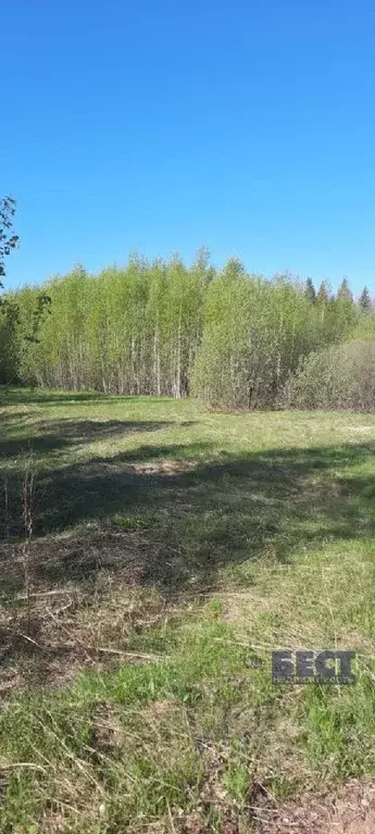 Участок в Нижегородская область, Тоншаевский муниципальный округ, д. ... - Фото 0