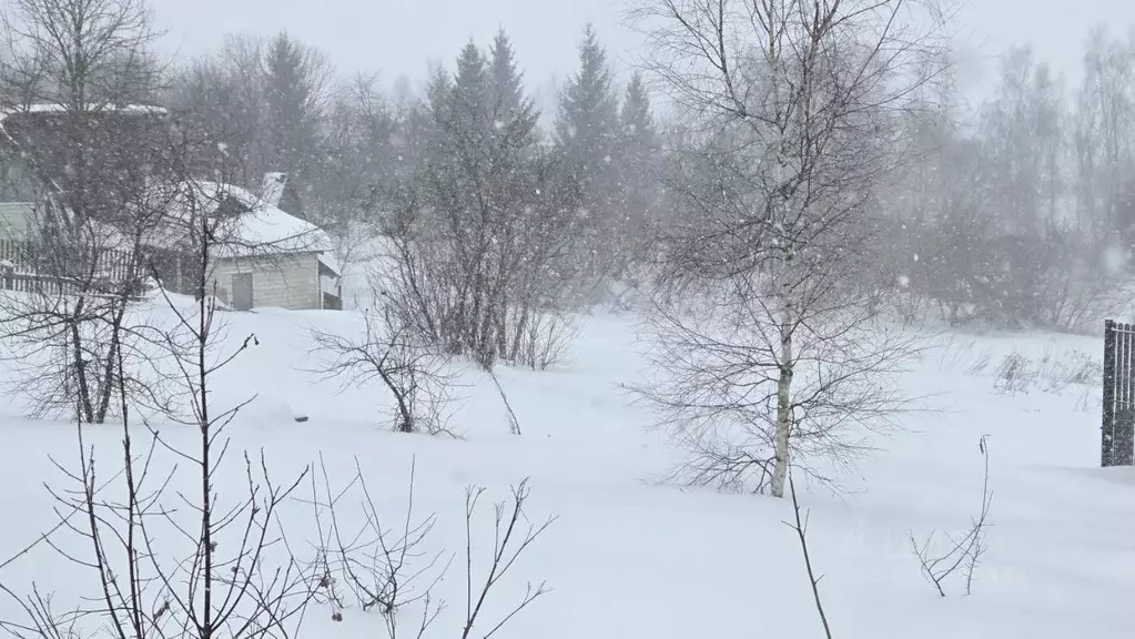 Участок в Московская область, Домодедово городской округ, д. Старое  ... - Фото 2