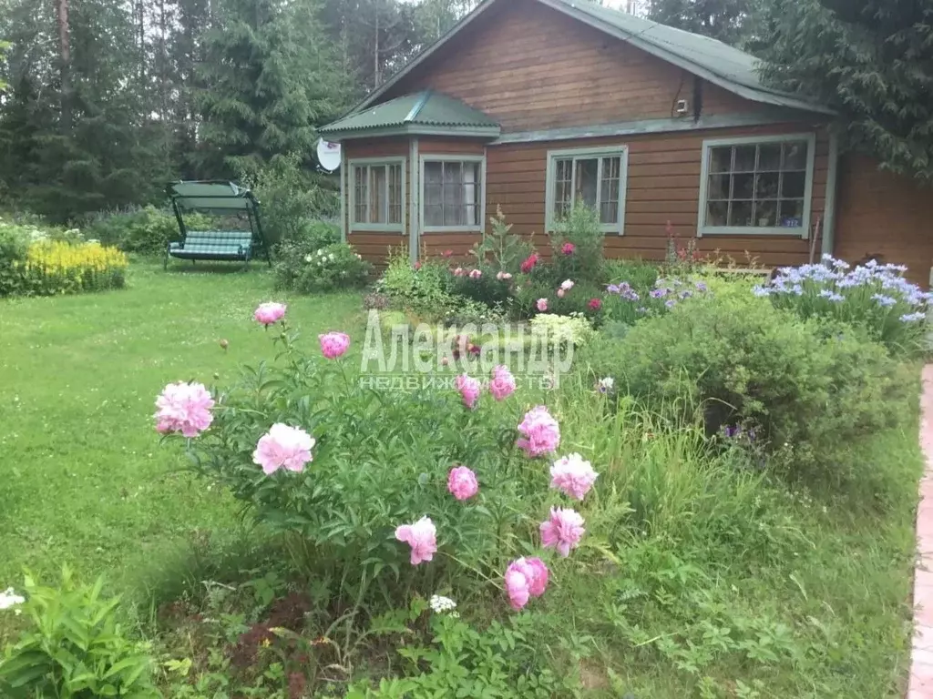 Участок в Ленинградская область, Выборгский район, Рощинское городское ... - Фото 0