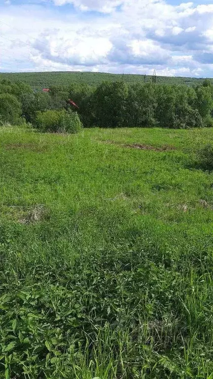 Участок в Мурманская область, Кольский район, Кильдинстрой городское ... - Фото 0