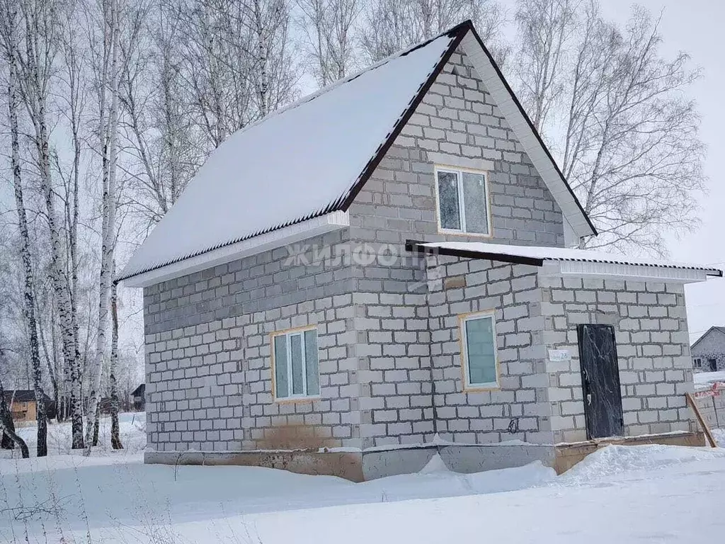 Коттедж в Новосибирская область, Новосибирский район, Сибирские ... - Фото 0