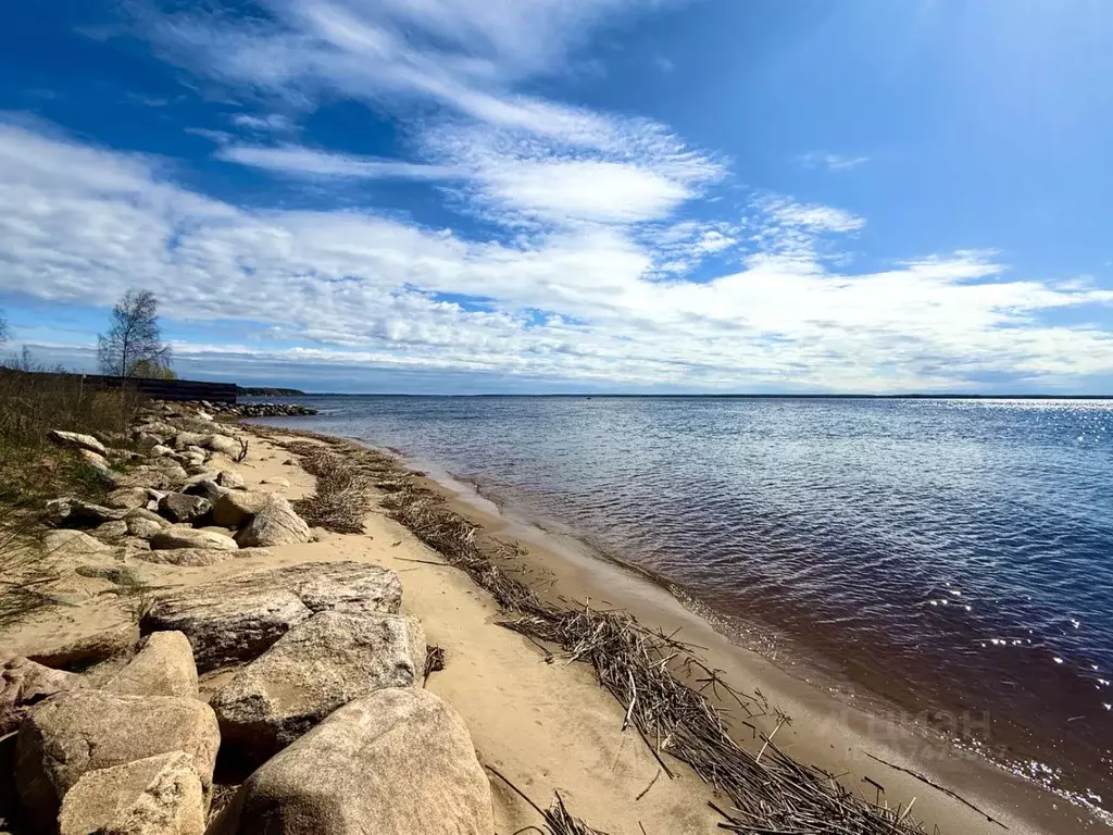 Участок в Ярославская область, Рыбинский муниципальный округ, ... - Фото 1