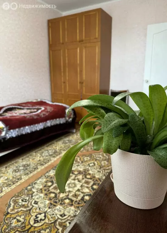 3-комнатная квартира: Курган, улица Белинского, 20 (64.1 м) - Фото 2