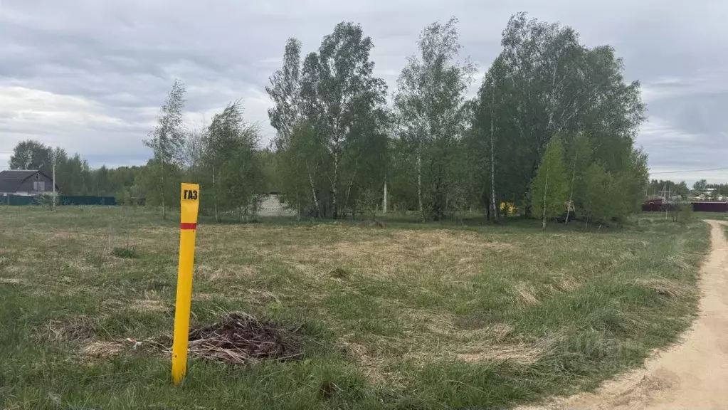 Участок в Владимирская область, Петушинский муниципальный округ, д. ... - Фото 2