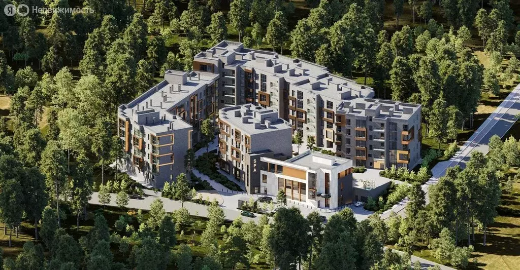 2-комнатная квартира: Калининградская область, Светлогорск (62.5 м) - Фото 1