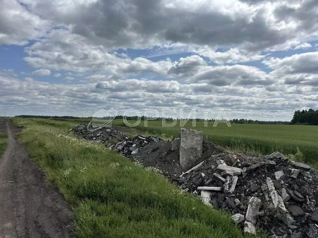 Участок в Тюменская область, Тюменский район, с. Горьковка Сибирская ... - Фото 1