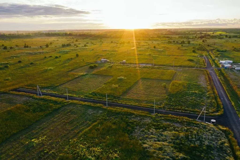 Участок в Ленинградская область, Тосненский район, Федоровское ... - Фото 1