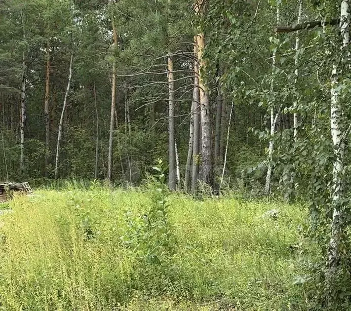 Участок в Тюменская область, Тюменский район, д. Ушакова, Молодежный ... - Фото 1