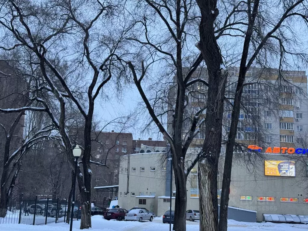 2-к кв. Воронежская область, Воронеж ул. Хользунова, 48 (68.0 м) - Фото 1
