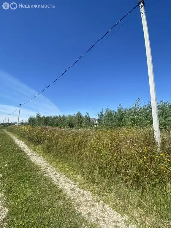 Участок в Московская область, городской округ Ступино, СНТ Лисичкино ... - Фото 1