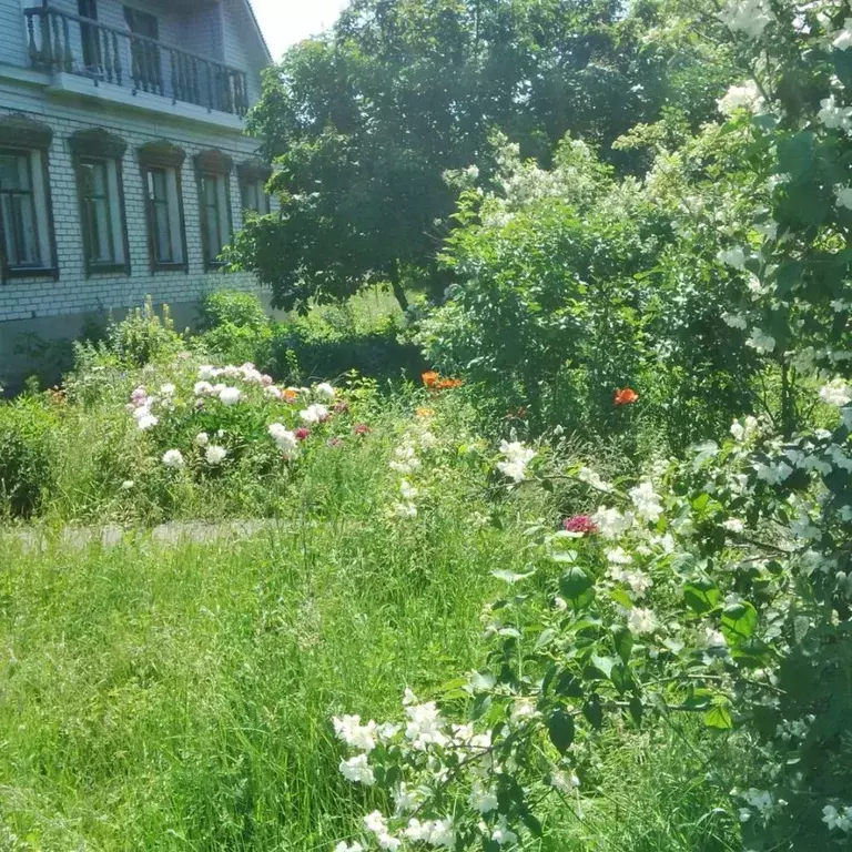Дом в Ульяновская область, Сенгилеевский район, с. Тушна Гая ул. (269 ... - Фото 2