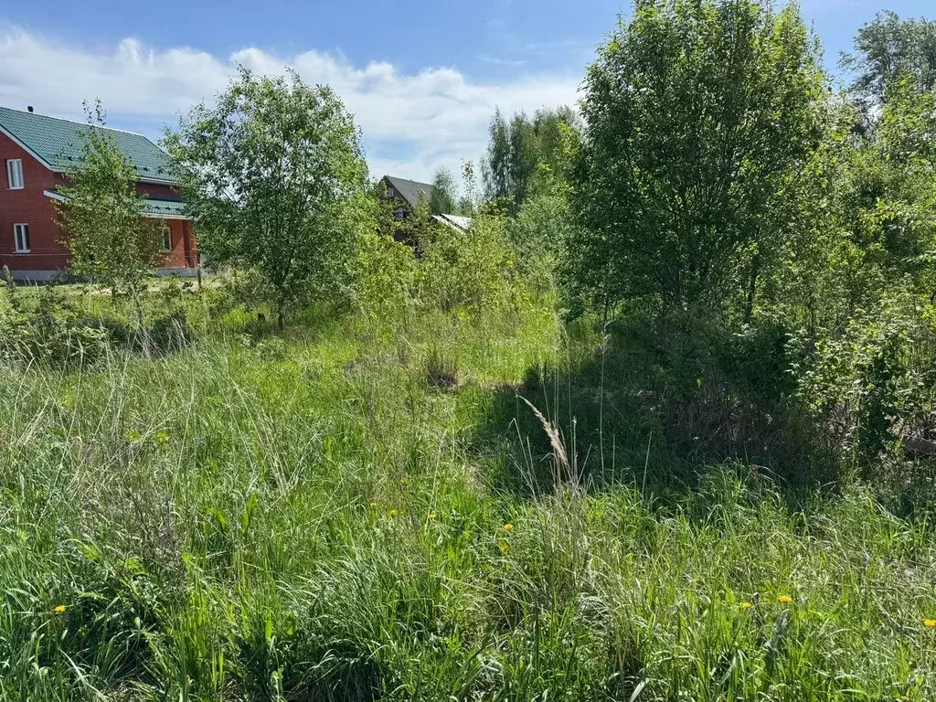 Участок в Московская область, Богородский городской округ, с. ... - Фото 0