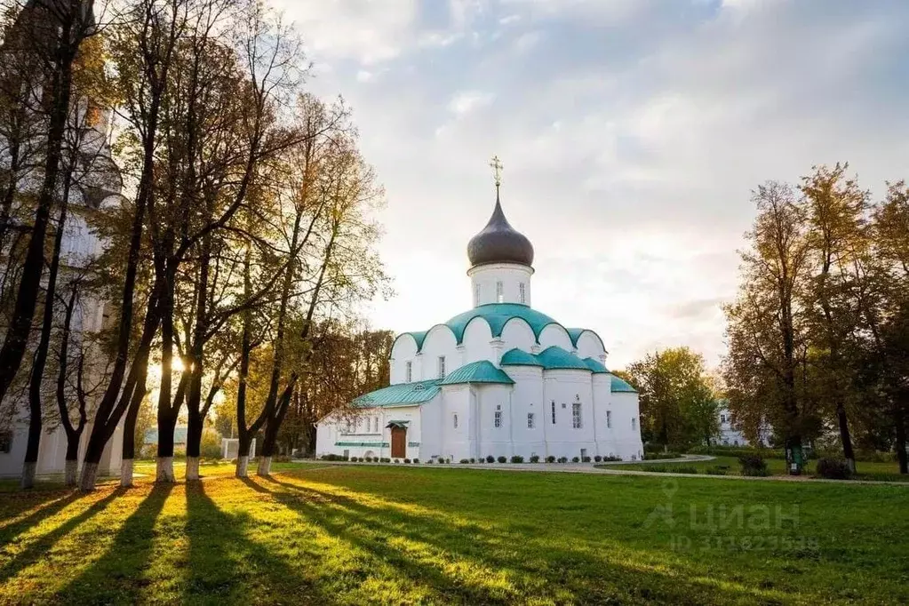 Участок в Владимирская область, Александровский район, Каринское ... - Фото 0